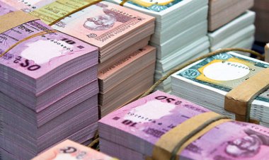 ডিজিটাল পদ্ধতির জন্যই ঘরে বসে ভাতার টাকা পায় জনগণ : এমপি শাওন