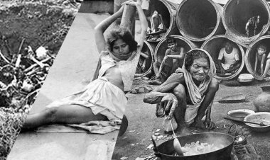 দুই মার্কিন আইনবিদ কংগ্রেসে ১৯৭১